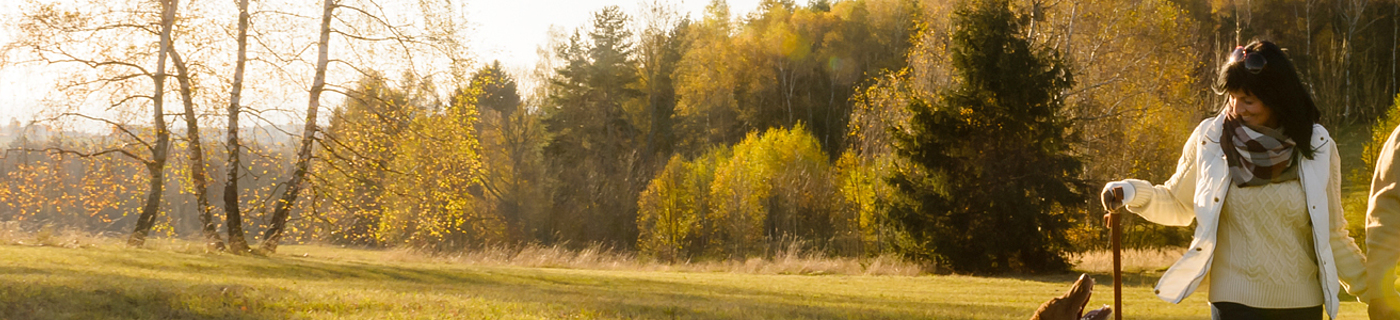 Ubytov�n� Orava a Roh��e